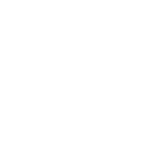 ZENVY Clothing Brand logo
